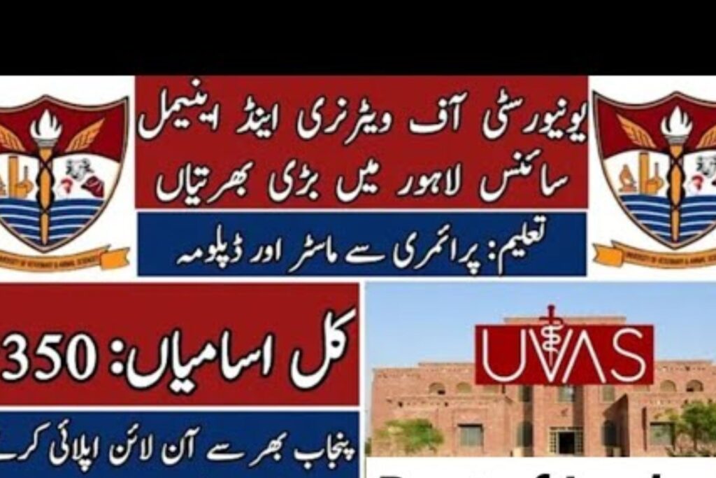 University of Veterinary & Animal Sciences (UVAS) Jobs | December 2025